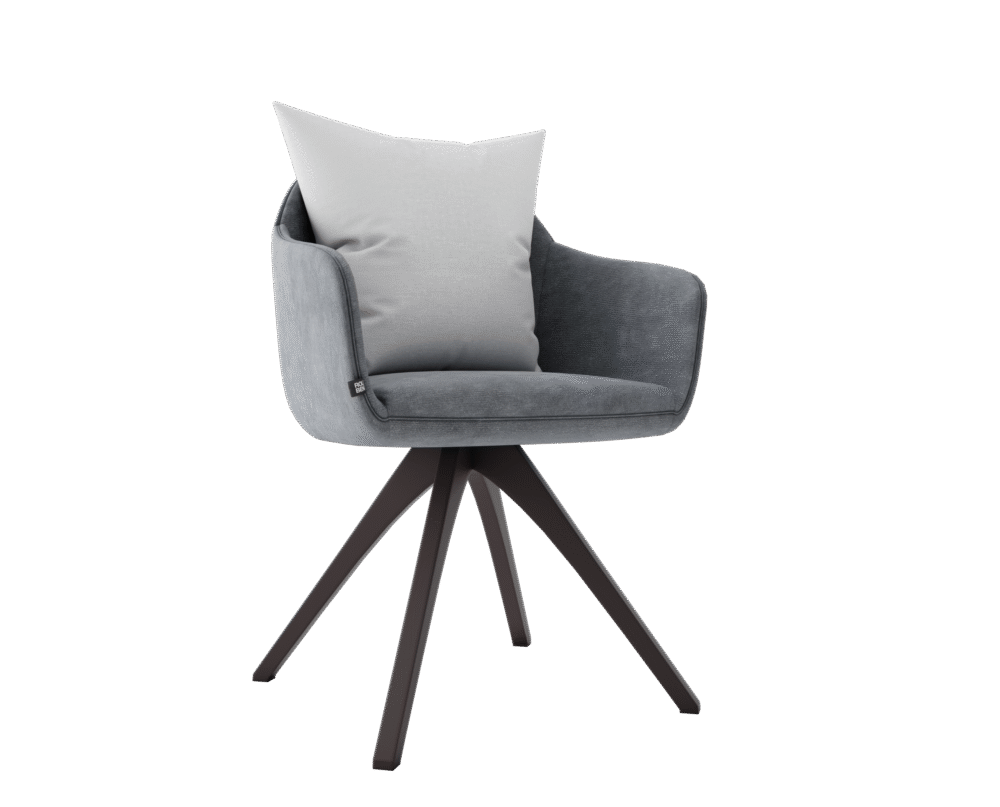 Modern Chair with Pillow